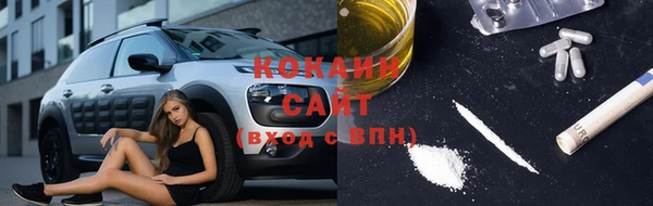 твердый Горняк