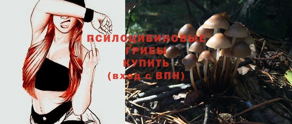 а пвп мука Вяземский