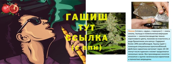 твердый Горняк