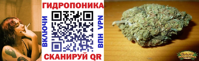 Канабис SATIVA & INDICA  Ершов 